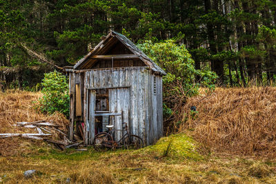 House on field