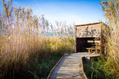 Wooden walkway amidst plants against sky