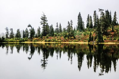 Reflection of trees in lake against sky