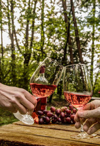 Close-up of hands toasting glasses against trees