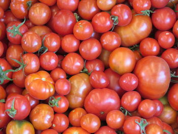 Full frame shot of tomatoes