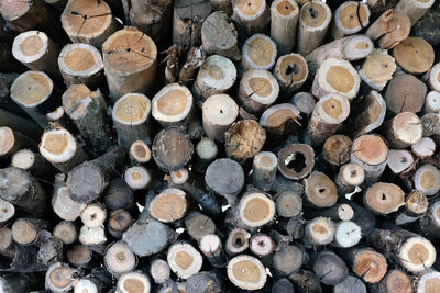 Full frame shot of logs in forest