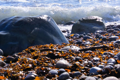 Small and large stones on the seashore - mølen