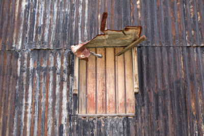 Close-up of old wooden door