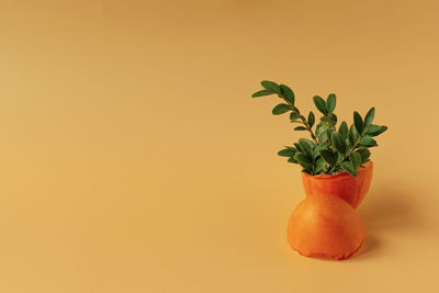 Close-up of orange fruit against wall