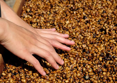 Close-up of hand touching food