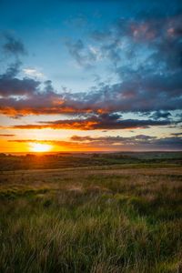 Scenic view of field against sky during sunset