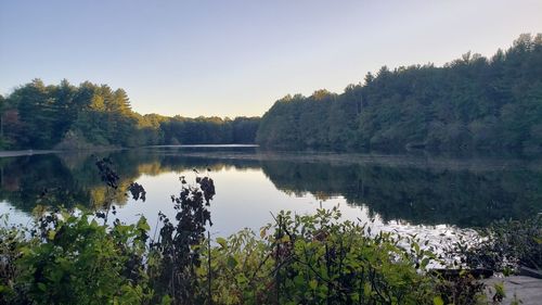 Scenic view of lake against clear sky