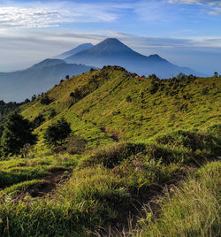 Scenic view of landscape against sky