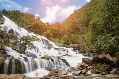 Scenic view of waterfall in forest