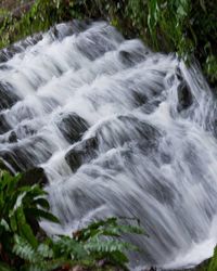 Scenic view of waterfall