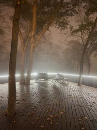 Illuminated footpath by trees against sky at night