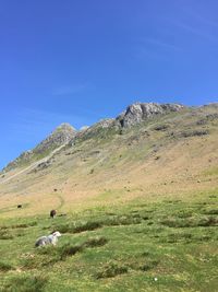 Scenic view of landscape and mountain against sky