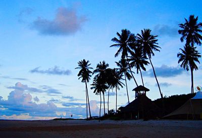Palm trees against cloudy sky