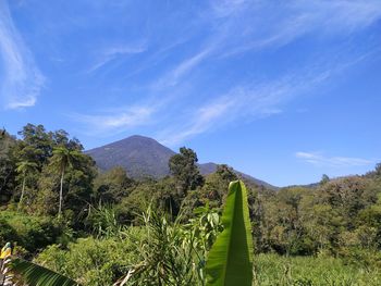 Scenic view of trees and mountains against blue sky