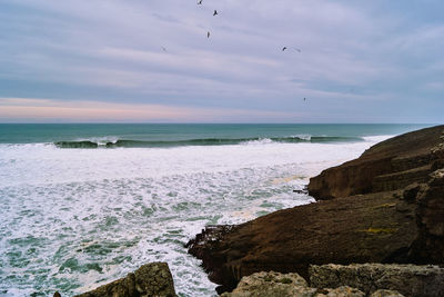 Sea and nature in cantabria