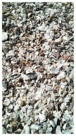 Full frame shot of dry leaf on pebbles