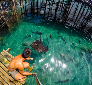 High angle view of man feeding fishes in sea