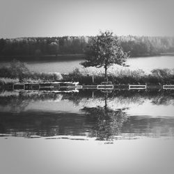 Reflection of trees in lake