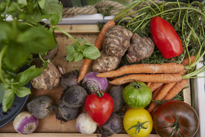 High angle view of vegetables for sale