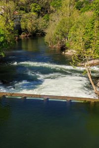 Scenic view of river amidst trees