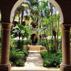 Garden seen from arch