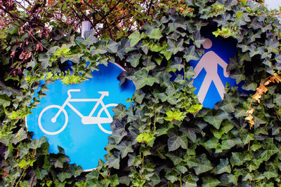 Bike and pedestrian street signs partially hidden by ivy