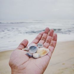 She sells seashells by the seashore....