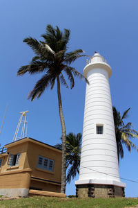 Low angle view of coconut palm tree against blue sky