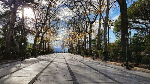 Road amidst trees against sky