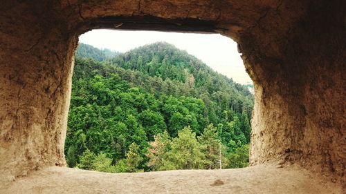 Scenic view of landscape