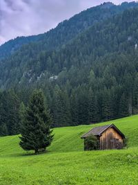 Scenic view of field by trees and houses against mountain