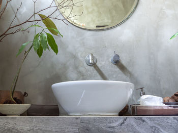 White potted plants on wall at home