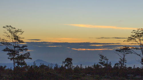 Scenic view of silhouette trees against sky during sunset