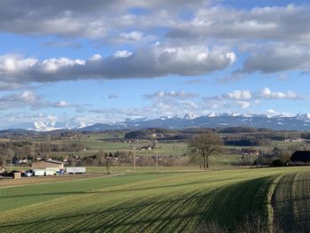 Scenic view of agricultural field against sky