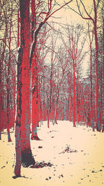 Bare trees against sky