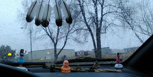 View of bare trees through car window