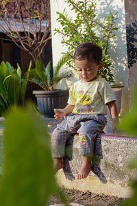 Cute boy sitting on potted plant