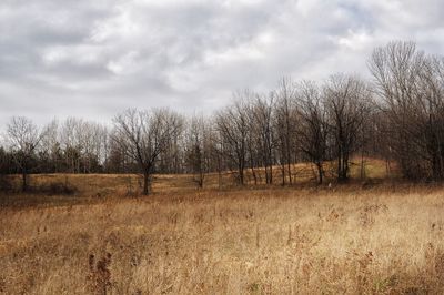 Bare trees on field against cloudy sky