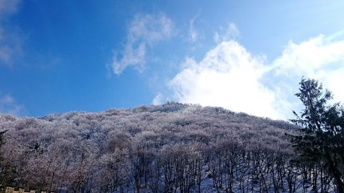 sky