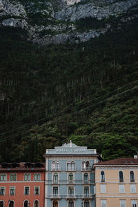 Building by trees in forest