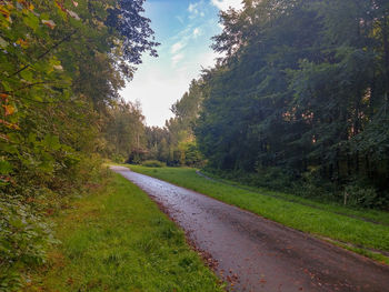 Road amidst trees against sky