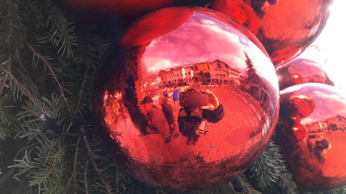 Close-up of christmas decoration