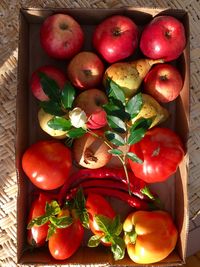 High angle view of fruits in container