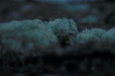 Close-up of snow against sky