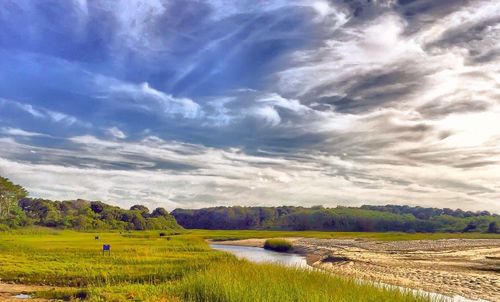 Scenic view of field against cloudy sky