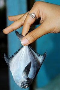 Close-up of hand holding fish