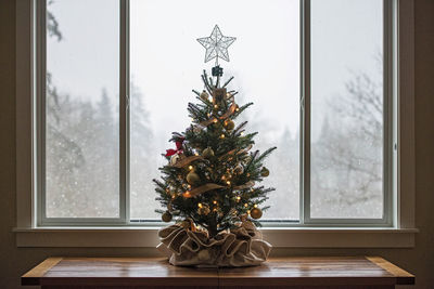 Christmas tree on table against window at home