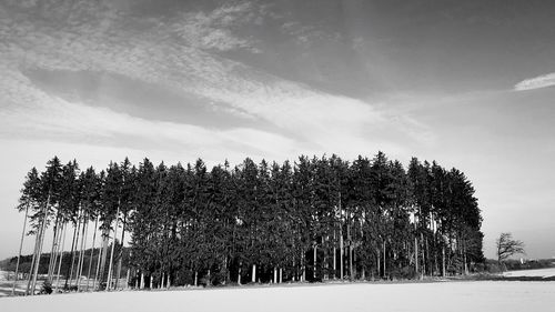 Trees on snow covered field against sky