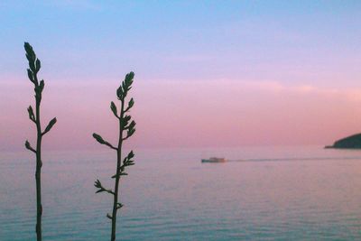 Scenic view of sea against sky at sunset